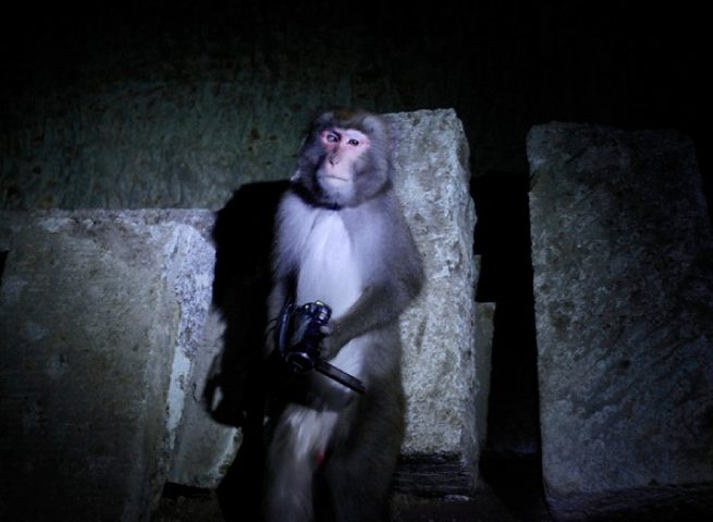 田村友一郎《Ars》